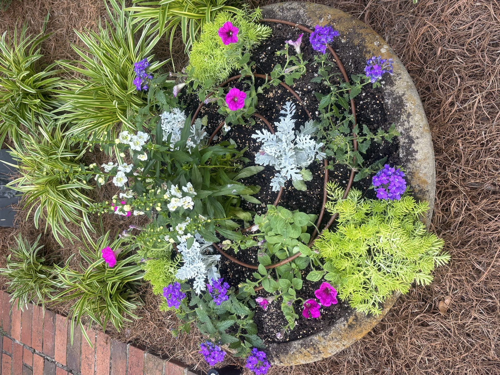 Stone planter urn filled with petunias, verbena and dusty miller