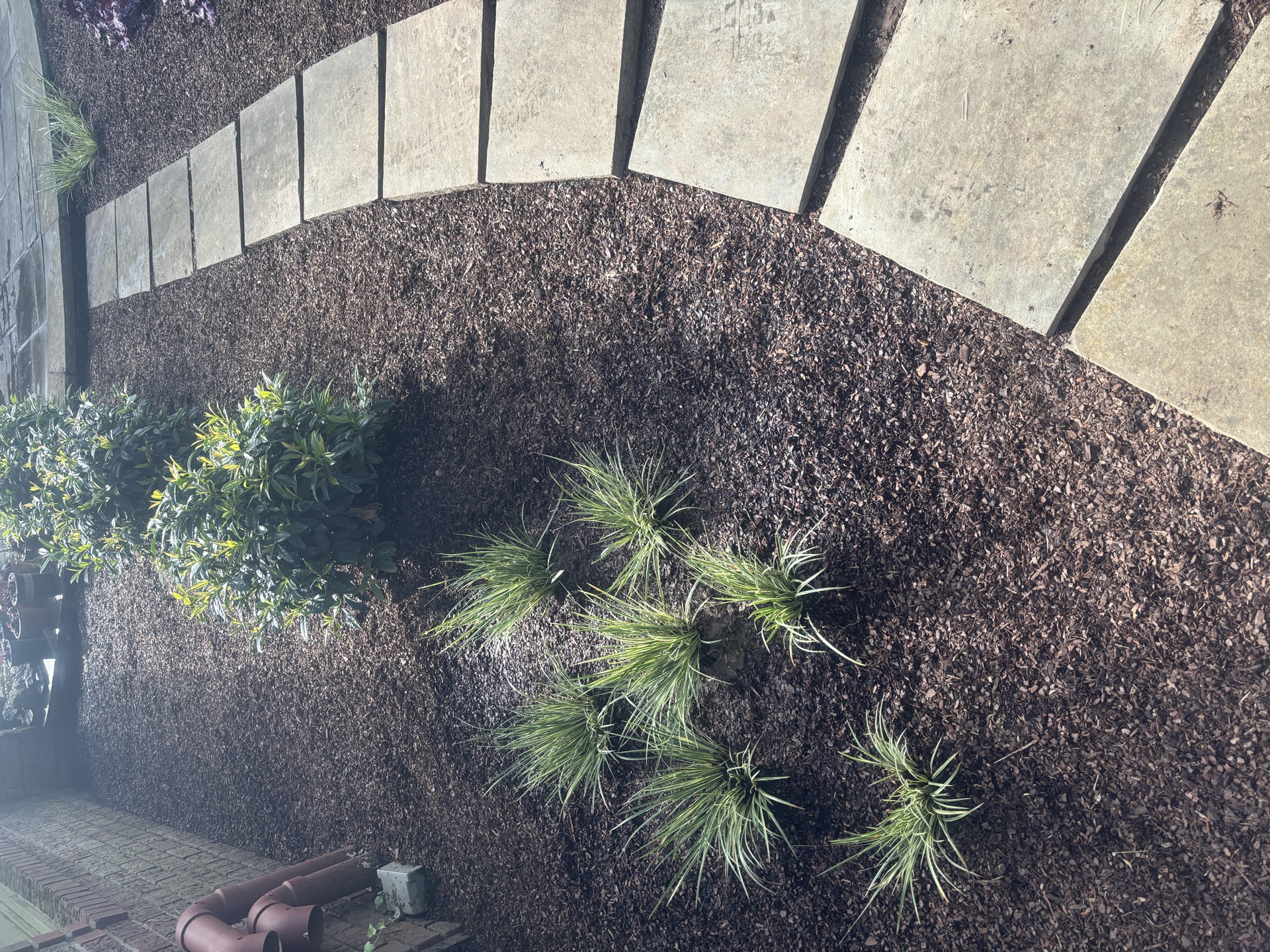 Mulched planting beds edged along a stone walkway